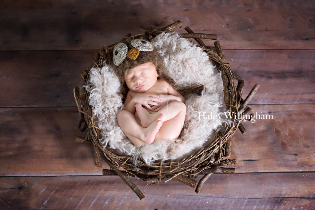 Hagesrtown Maryland Newborn Photographer