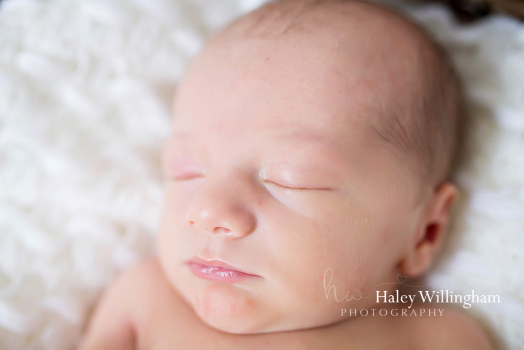 Hagesrtown Maryland Newborn Photographer