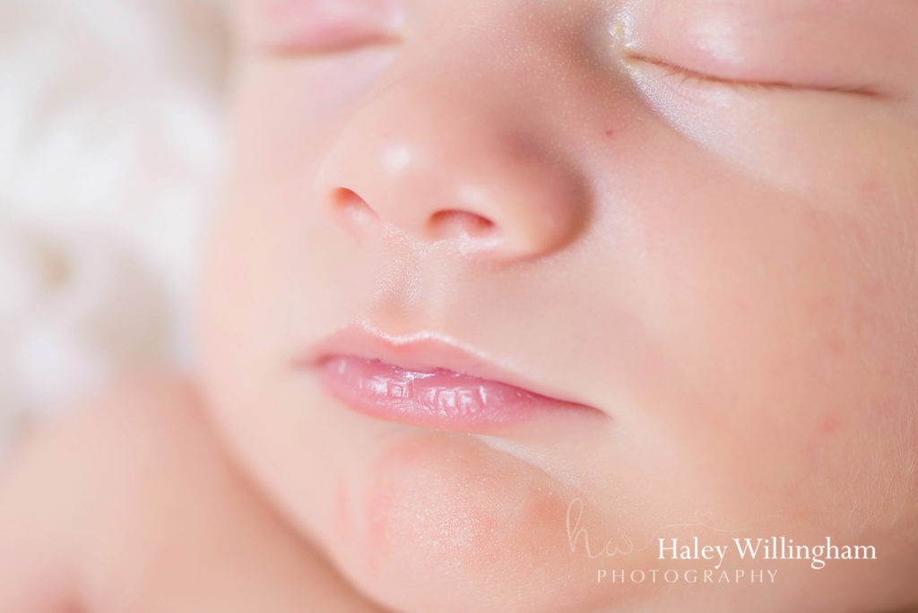 Hagesrtown Maryland Newborn Photographer