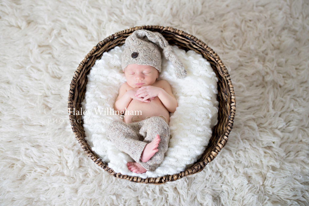 Hagesrtown Maryland Newborn Photographer