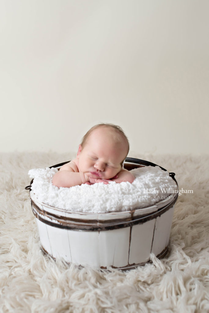 Hagerstown Maryland Newborn Photographer