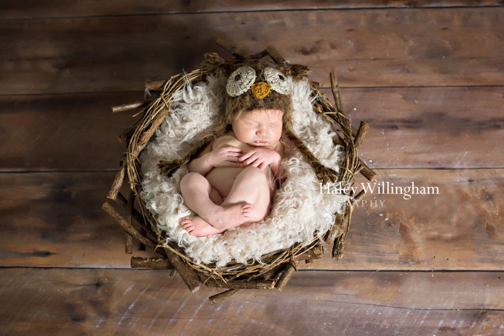 Hagerstown Maryland Newborn Photographer