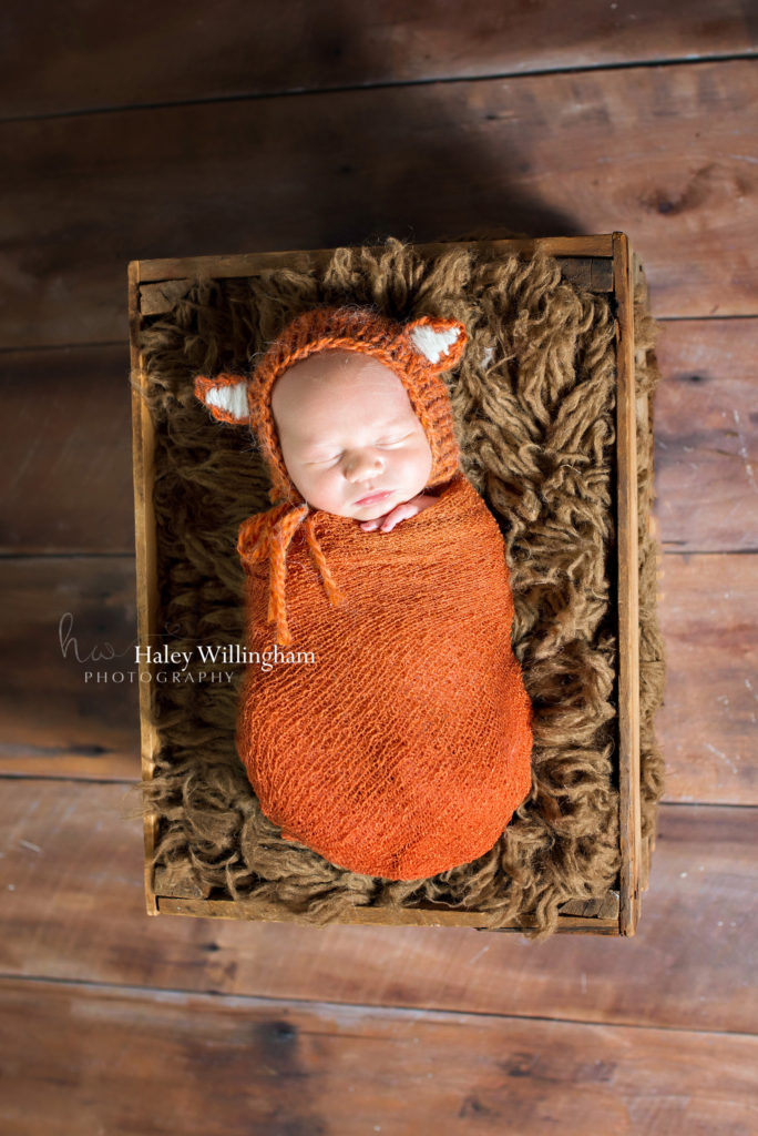 Hagerstown Maryland Newborn Photographer