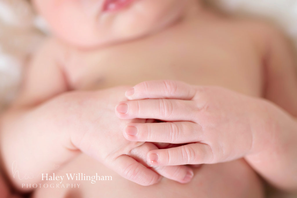 Hagerstown Maryland Newborn Photographer