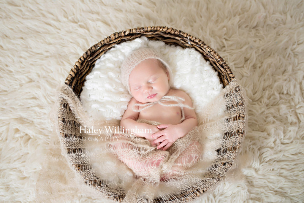 Hagerstown Maryland Newborn Photographer