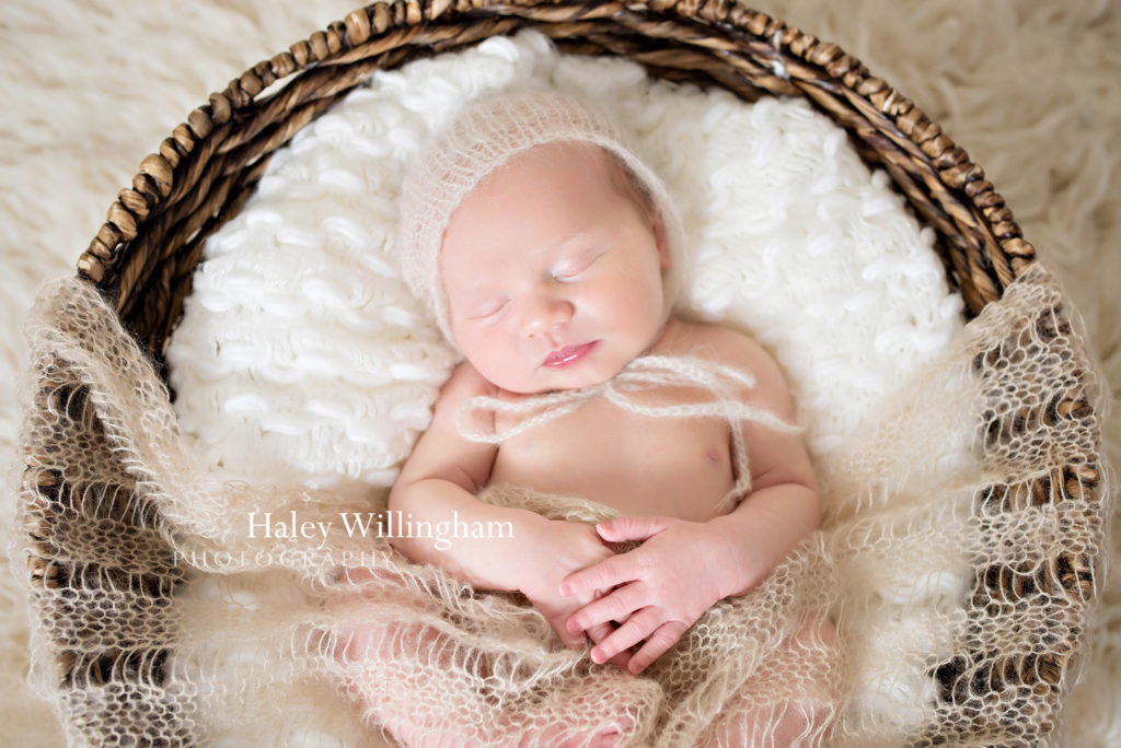 Hagerstown Maryland Newborn Photographer