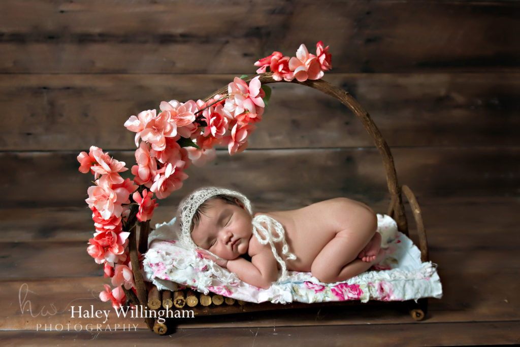 Gaithersburg Maryland Newborn Photographer