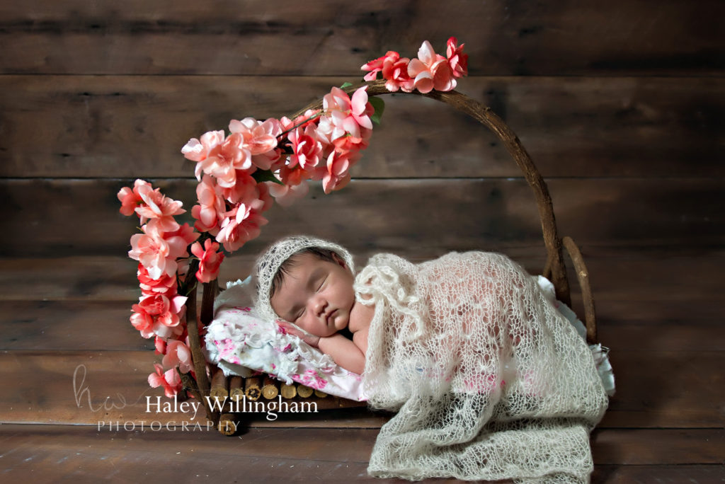 Gaithersburg Maryland Newborn Photographer