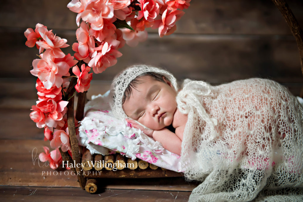 Gaithersburg Maryland Newborn Photographer