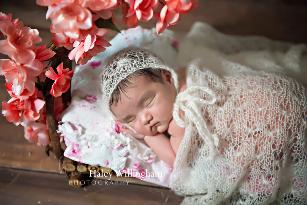 Gaithersburg Maryland Newborn Photographer