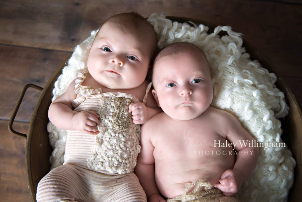 Northern Virginia Newborn Twin Photographer