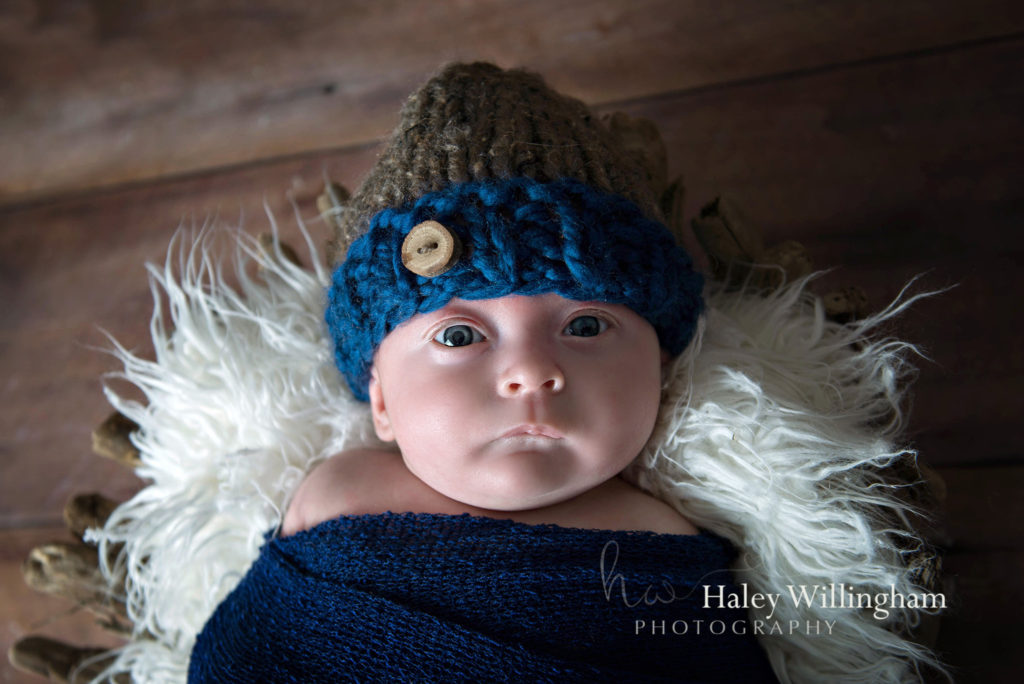 Northern Virginia Newborn Twin Photographer