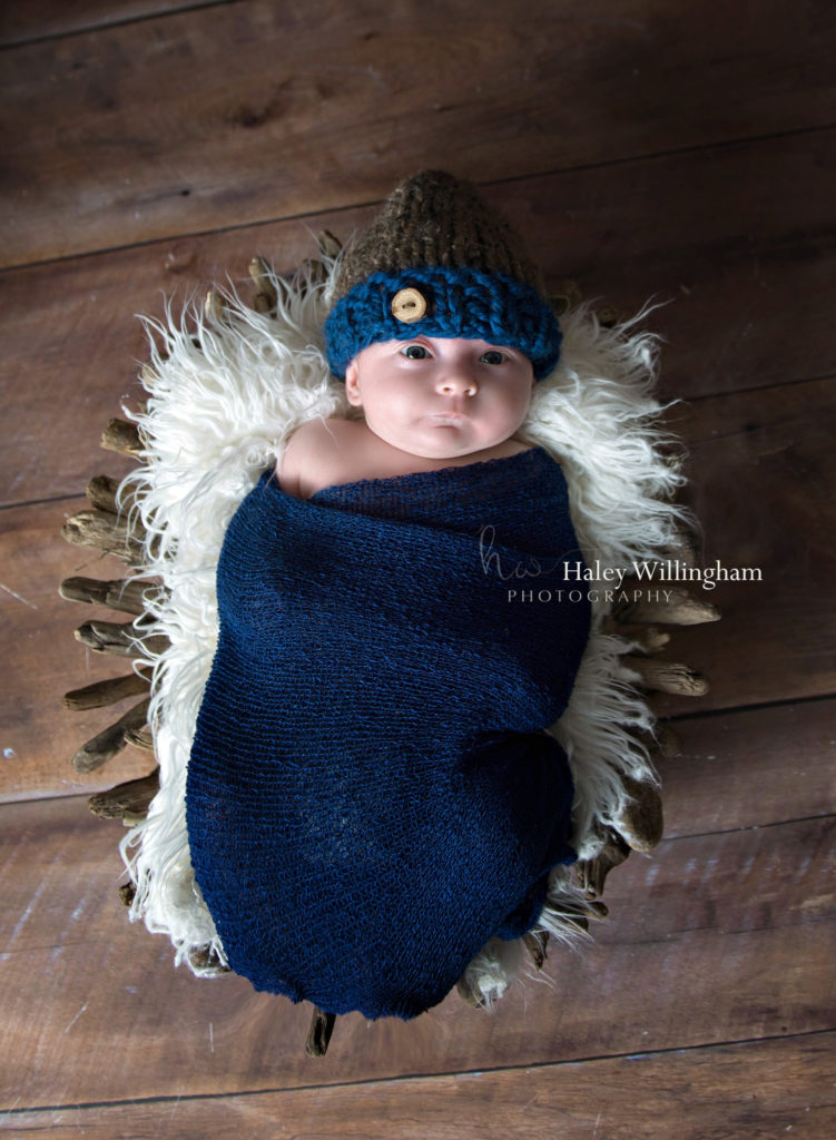 Northern Virginia Newborn Twin Photographer