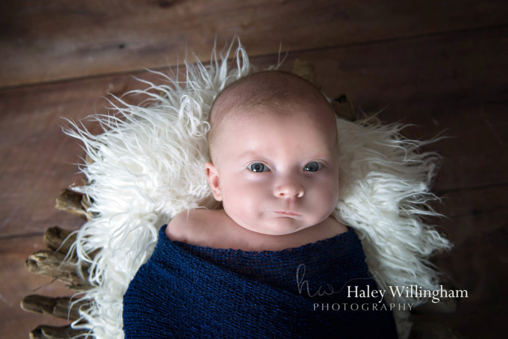 Northern Virginia Newborn Twin Photographer