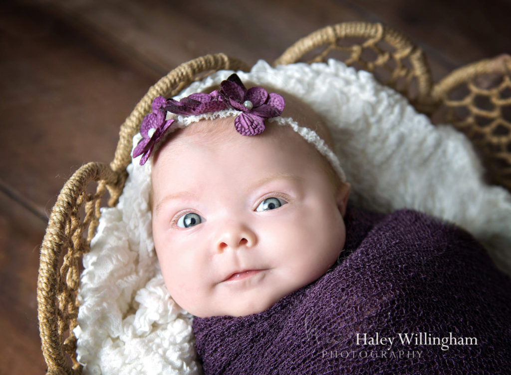 Northern Virginia Newborn Twin Photographer