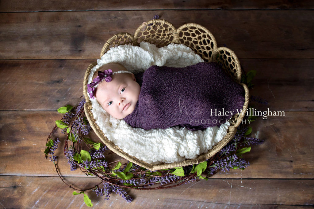 Northern Virginia Newborn Twin Photographer