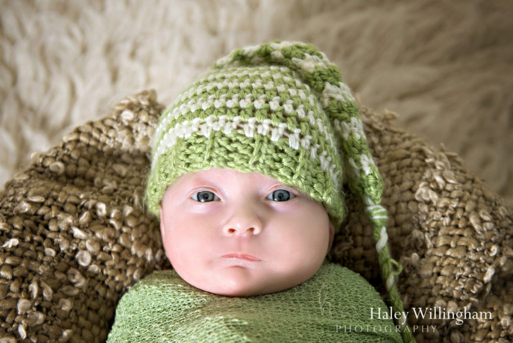 Northern Virginia Newborn Twin Photographer