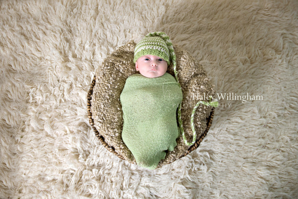 Northern Virginia Newborn Twin Photographer