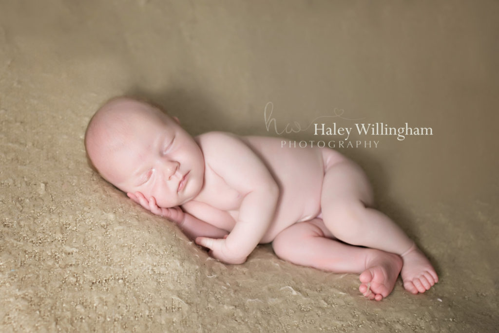 Martinsburg WV Newborn Photographer