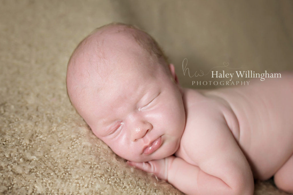 Martinsburg WV Newborn Photographer