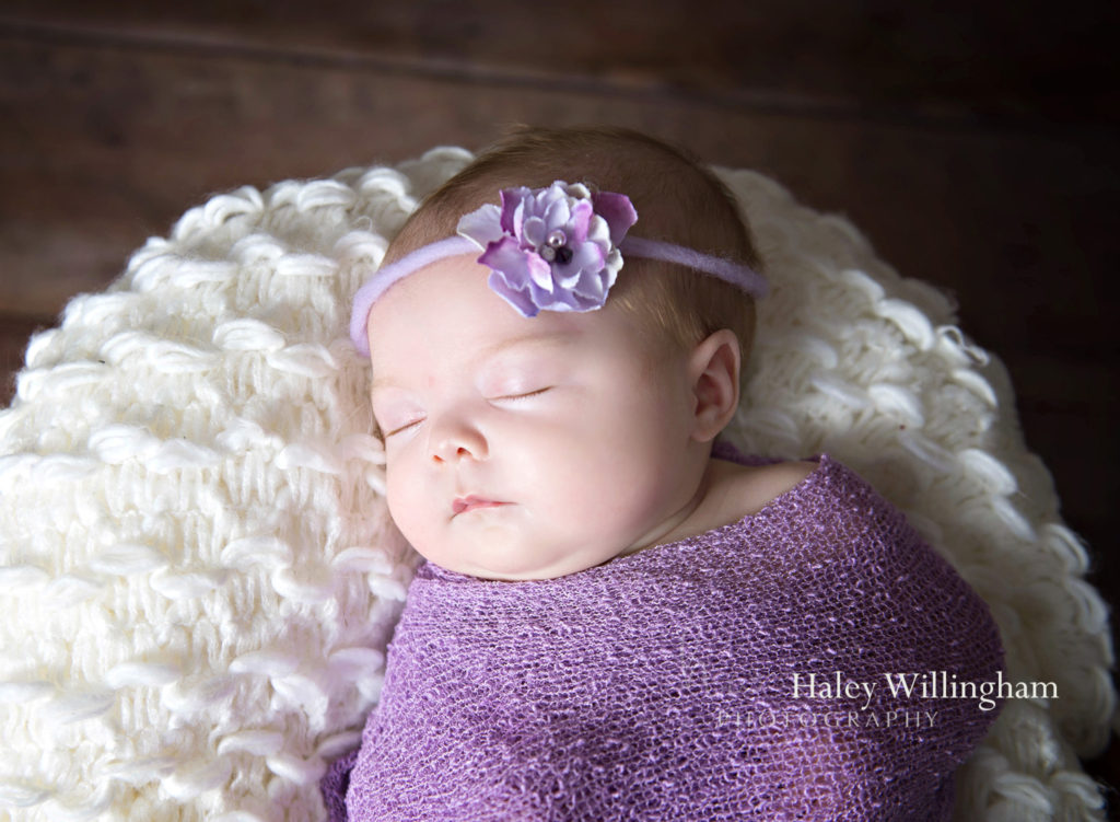 Northern Virginia Newborn Twin Photographer