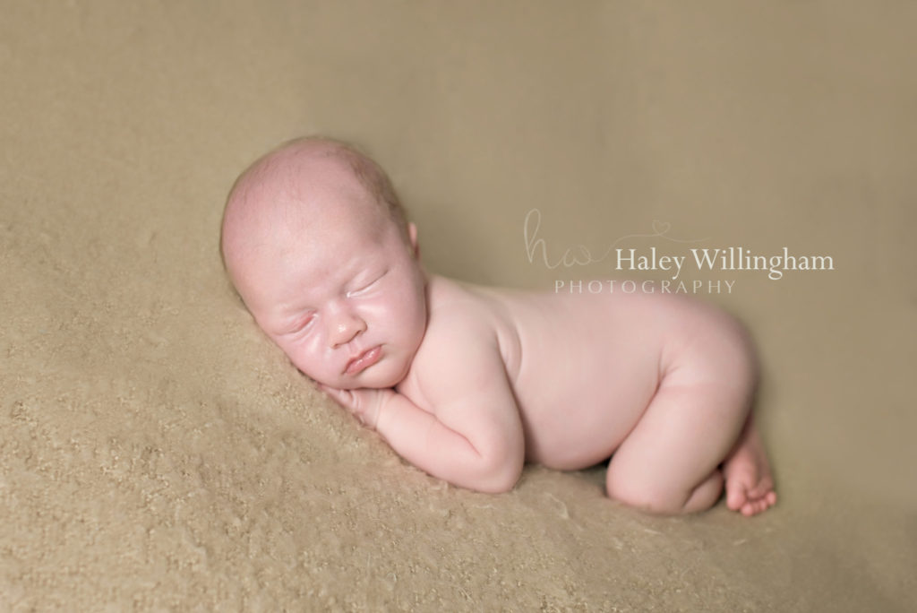 Martinsburg WV Newborn Photographer