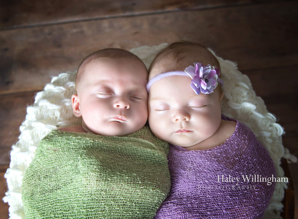 Northern Virginia Newborn Twin Photographer