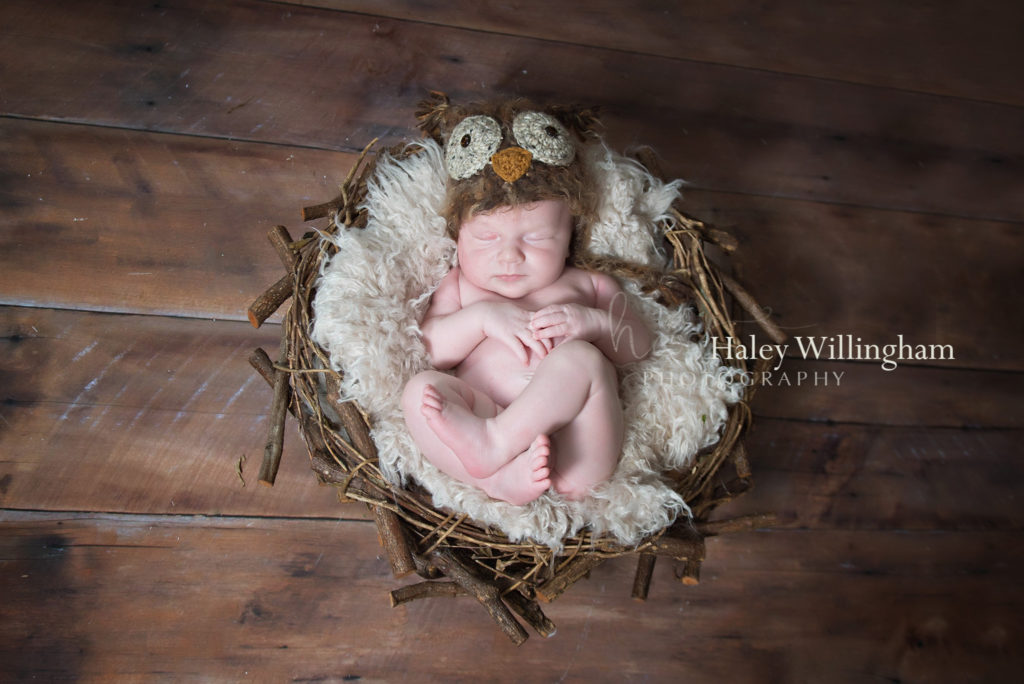 Martinsburg WV Newborn Photographer