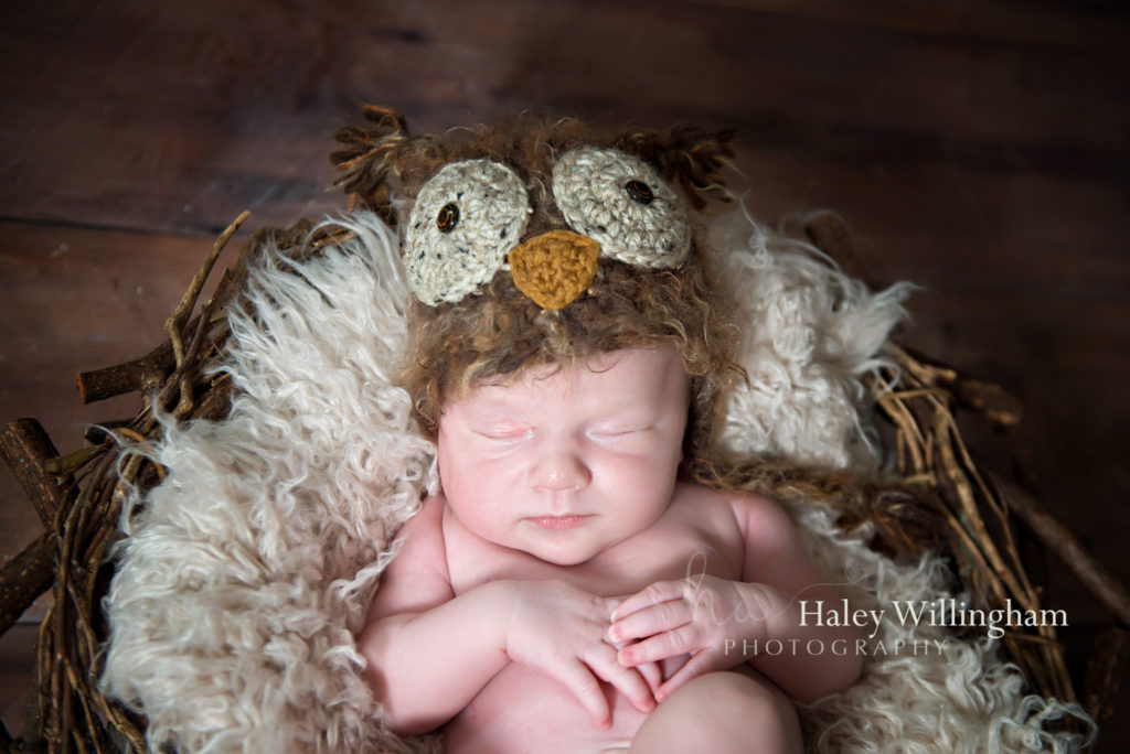 Martinsburg WV Newborn Photographer