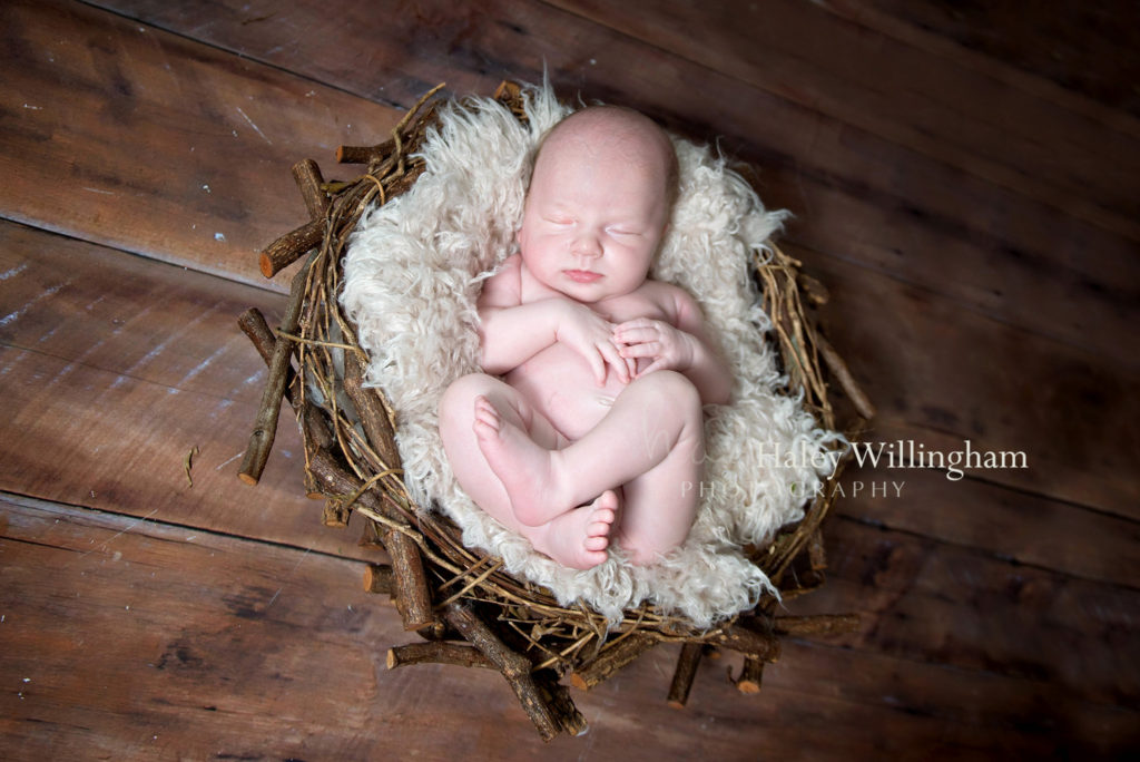 Martinsburg WV Newborn Photographer