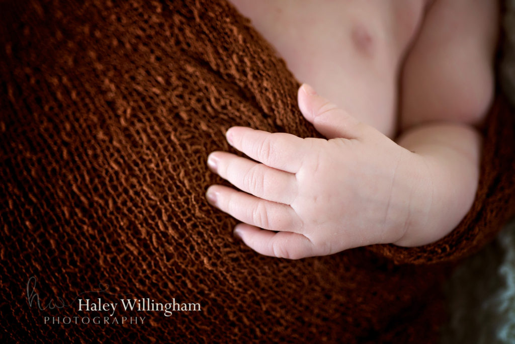 Martinsburg WV Newborn Photographer