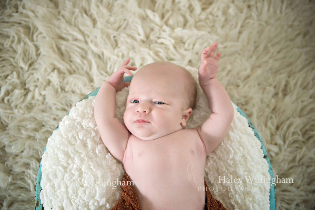 Martinsburg WV Newborn Photographer