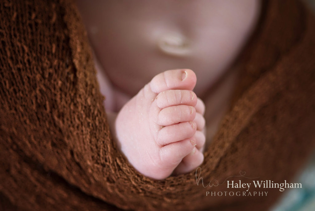 Martinsburg WV Newborn Photographer