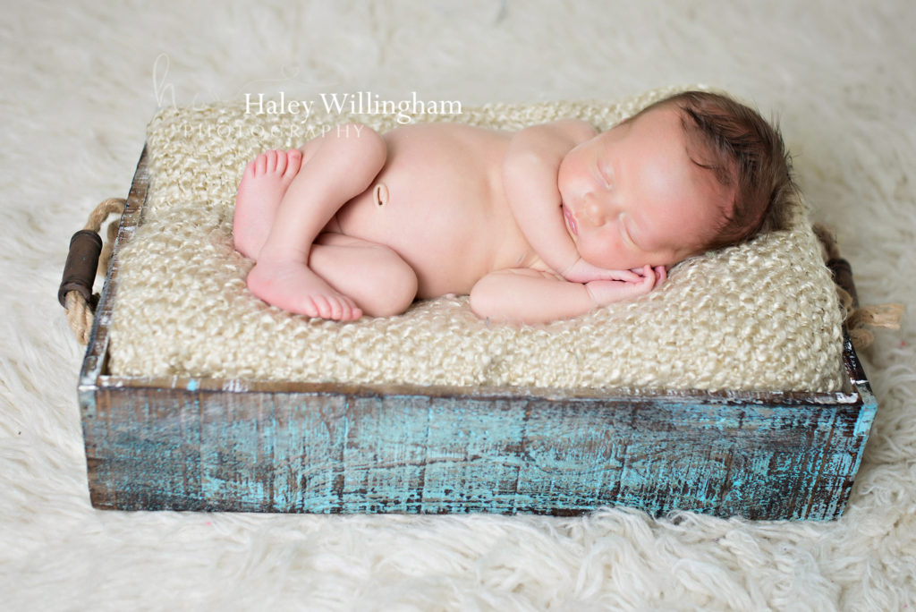 Martinsburg WV Newborn Photographer