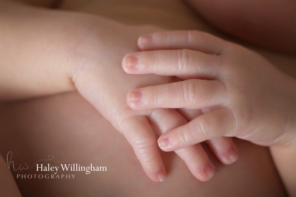 Martinsburg WV Newborn Photographer