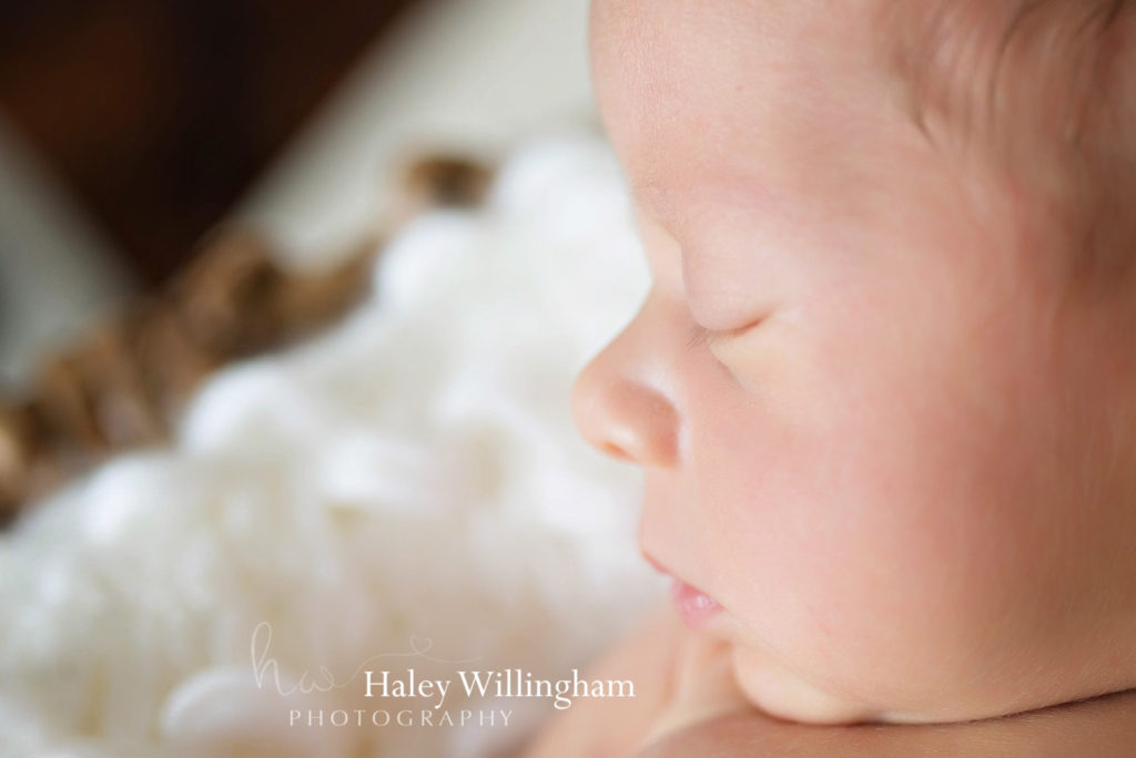 Martinsburg WV Newborn Photographer