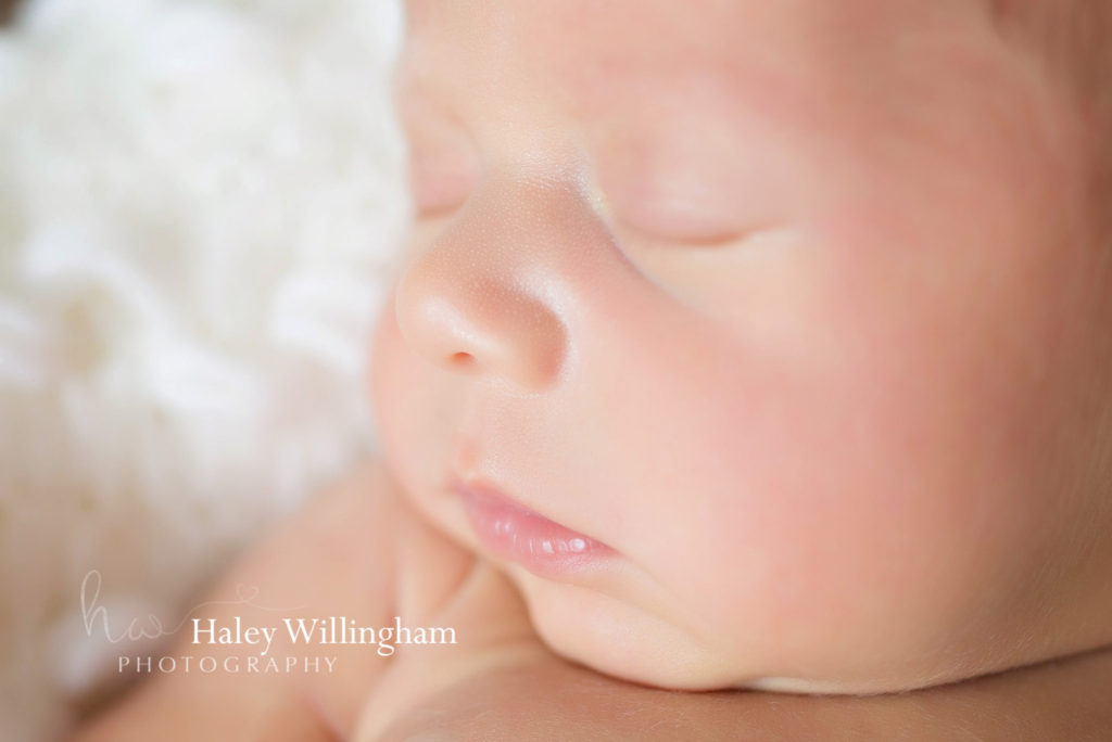 Martinsburg WV Newborn Photographer