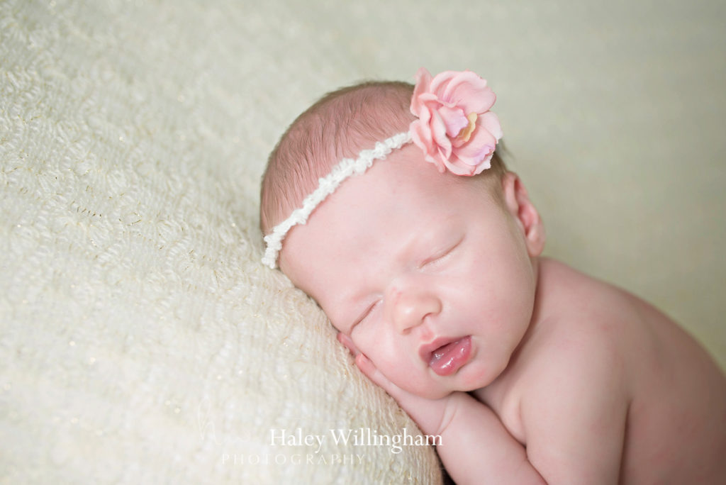 Martinsburg WV Newborn Photographer