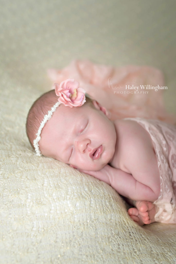 Martinsburg WV Newborn Photographer