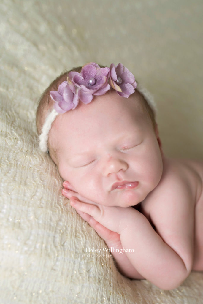 Martinsburg WV Newborn Photographer