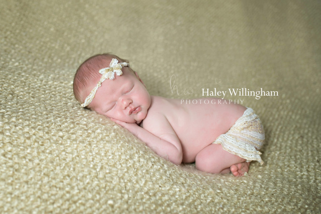 Martinsburg WV Newborn Photographer