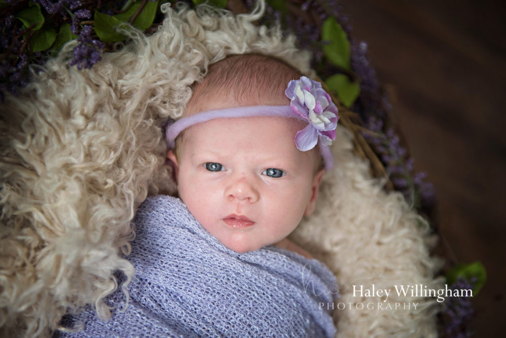 Martinsburg WV Newborn Photographer