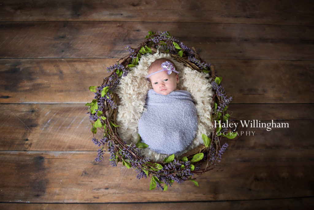 Martinsburg WV Newborn Photographer