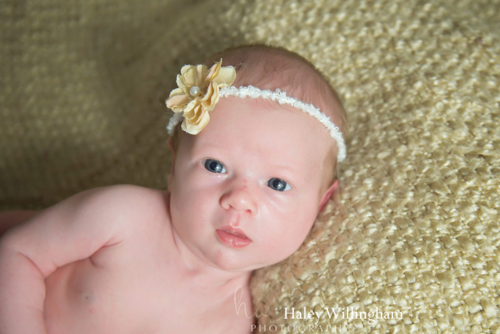 Martinsburg WV Newborn Photographer