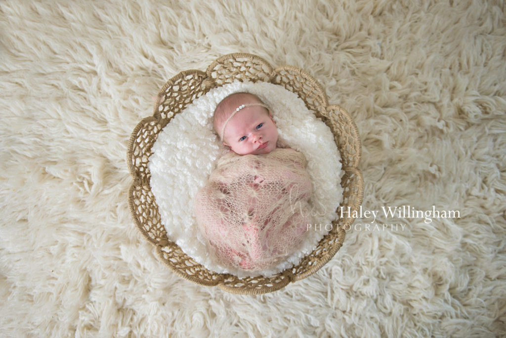 Martinsburg WV Newborn Photographer