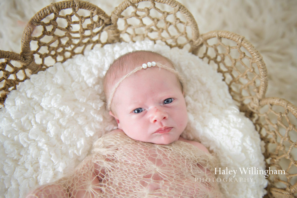 Martinsburg WV Newborn Photographer