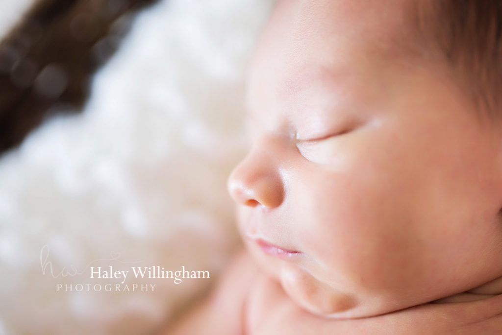 Martinsburg WV Newborn Photographer