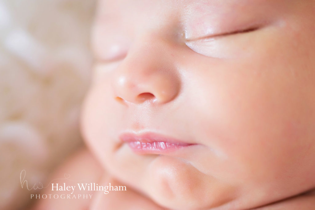 Martinsburg WV Newborn Photographer