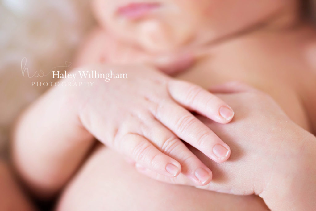 Martinsburg WV Newborn Photographer