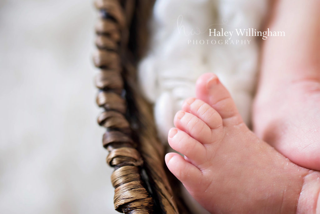 Martinsburg WV Newborn Photographer